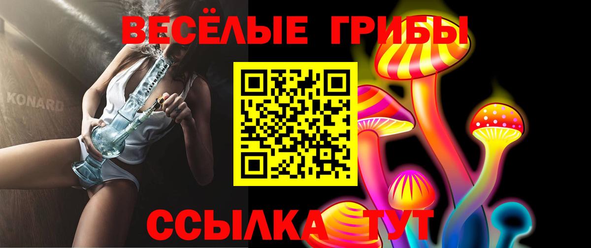 Псилоцибиновые грибы Psilocybine cubensis  Вход с VPN  Артём 